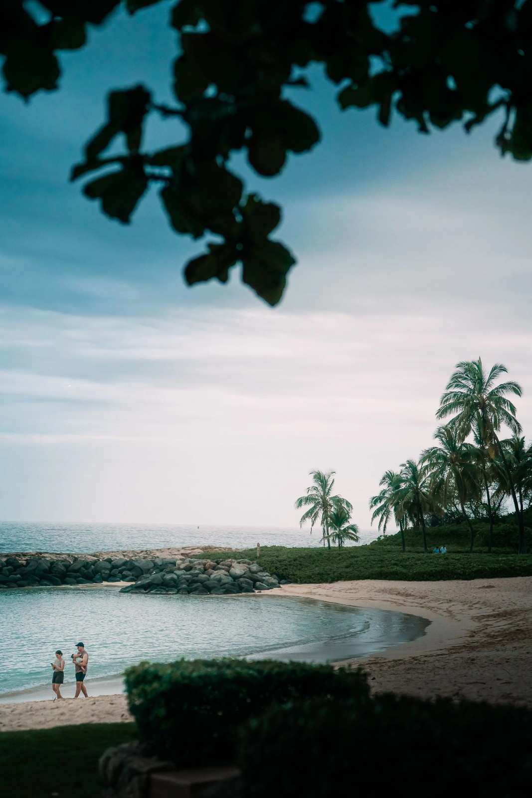 Image 10